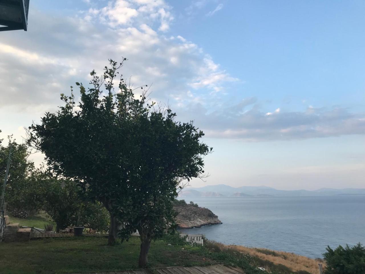 Villa Castle Sea View Paralio Astros Exterior photo
